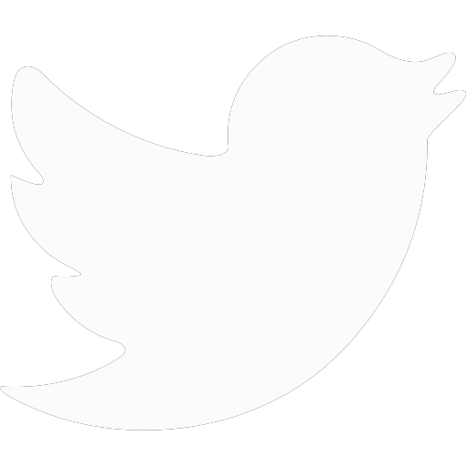 twitter icon